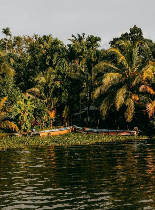 kerala-kovalam-beach-lighthouse-beach-sunset