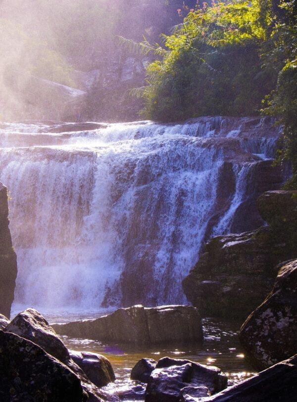 Scenic view of Ramboda Waterfall surrounded by lush greenery in Nuwara Eliya
